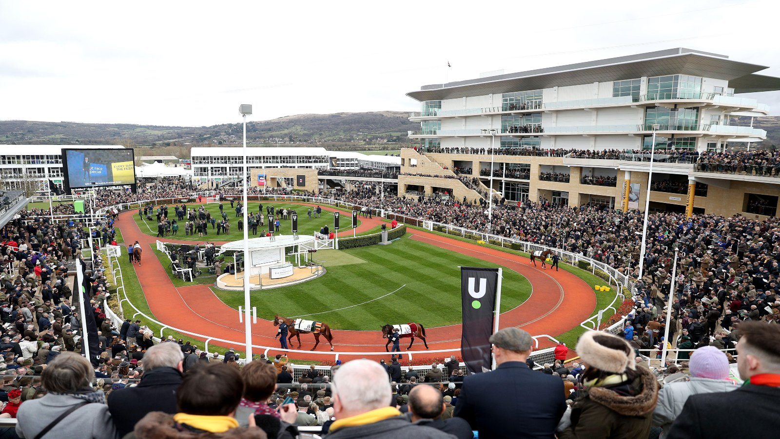 Arkle Novices' Chase Trends: Cheltenham Festival 2026