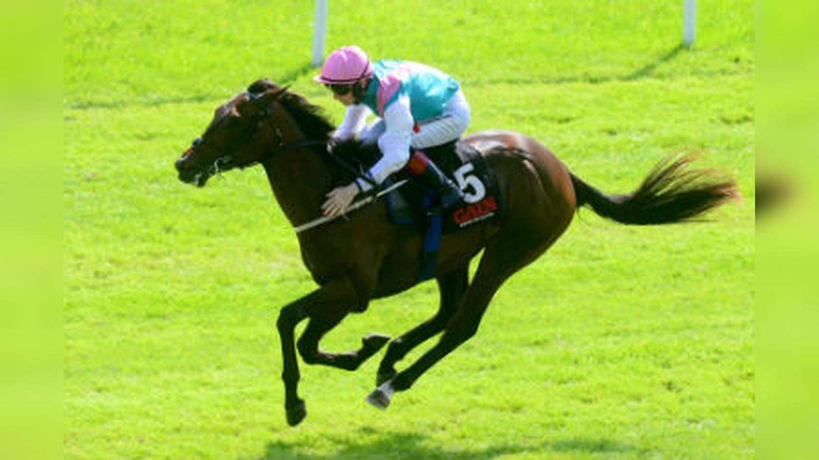 Siskin and Pinatubo Set To Go Head-To-Head At The Curragh