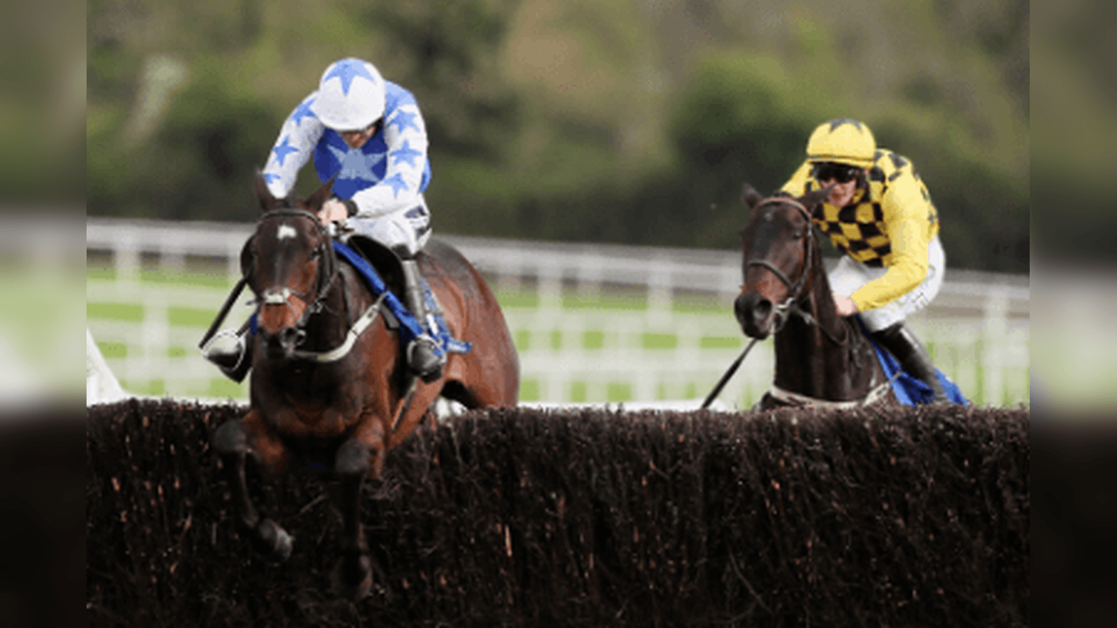 Leading Gold Cup Hope Kemboy Back In The Game