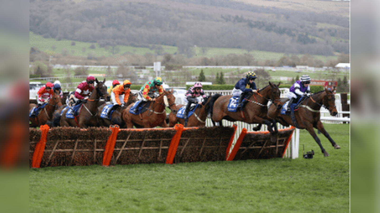 Coral Cup Trends for the 2026 Cheltenham Festival