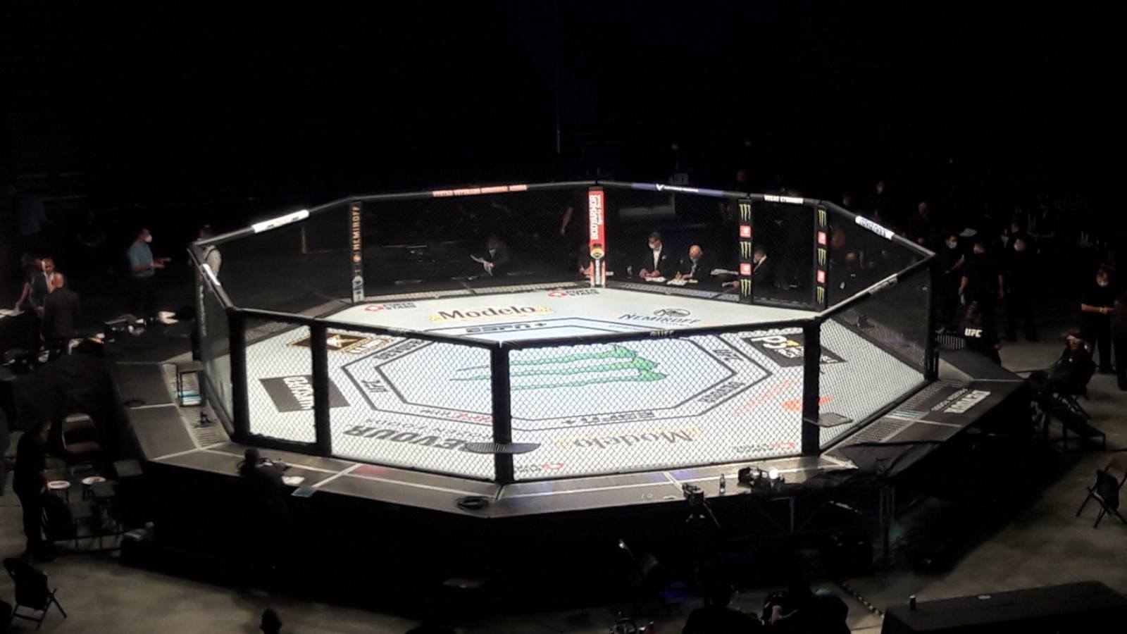 UFC Vegas 38: Santos Vs Walker Odds, Tips & Predictions