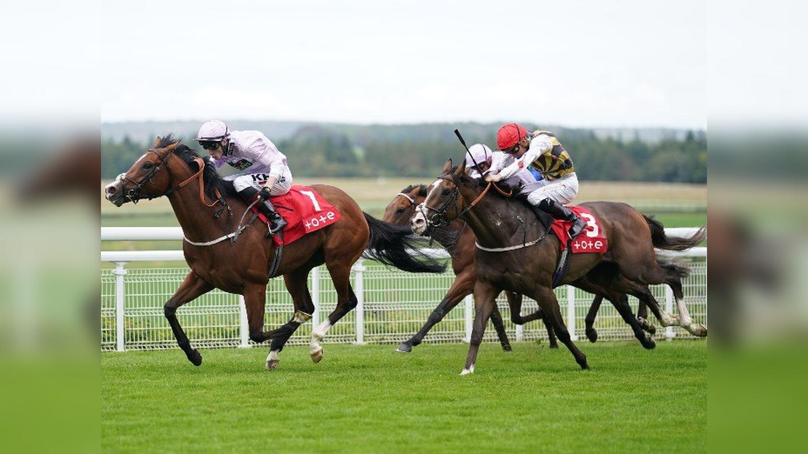 Placepot Tips Cheltenham Tuesday & Tote Free Bet Offers For The Cheltenham Festival 2026