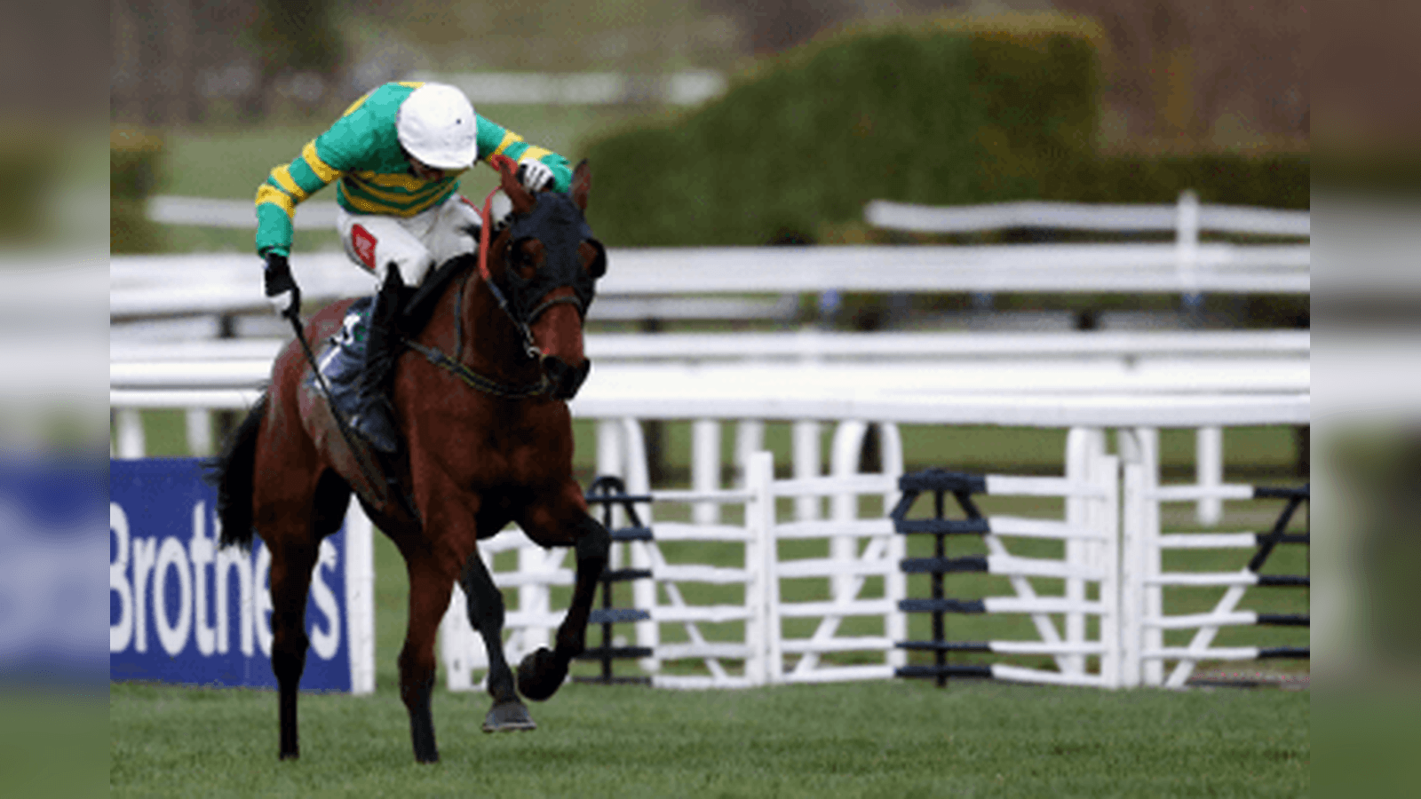 Kim Muir Trends for the 2026 Cheltenham Festival