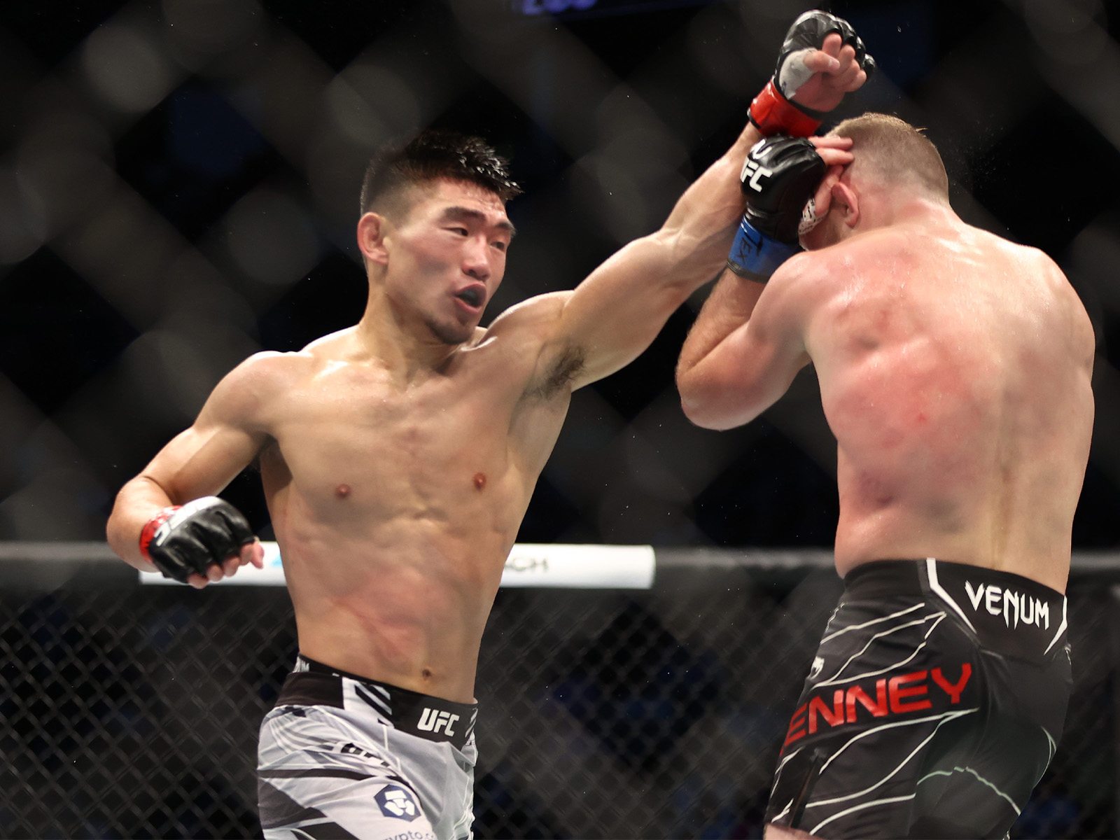 UFC Vegas 50 Ankalaev vs Santos Odds, Picks & Predictions