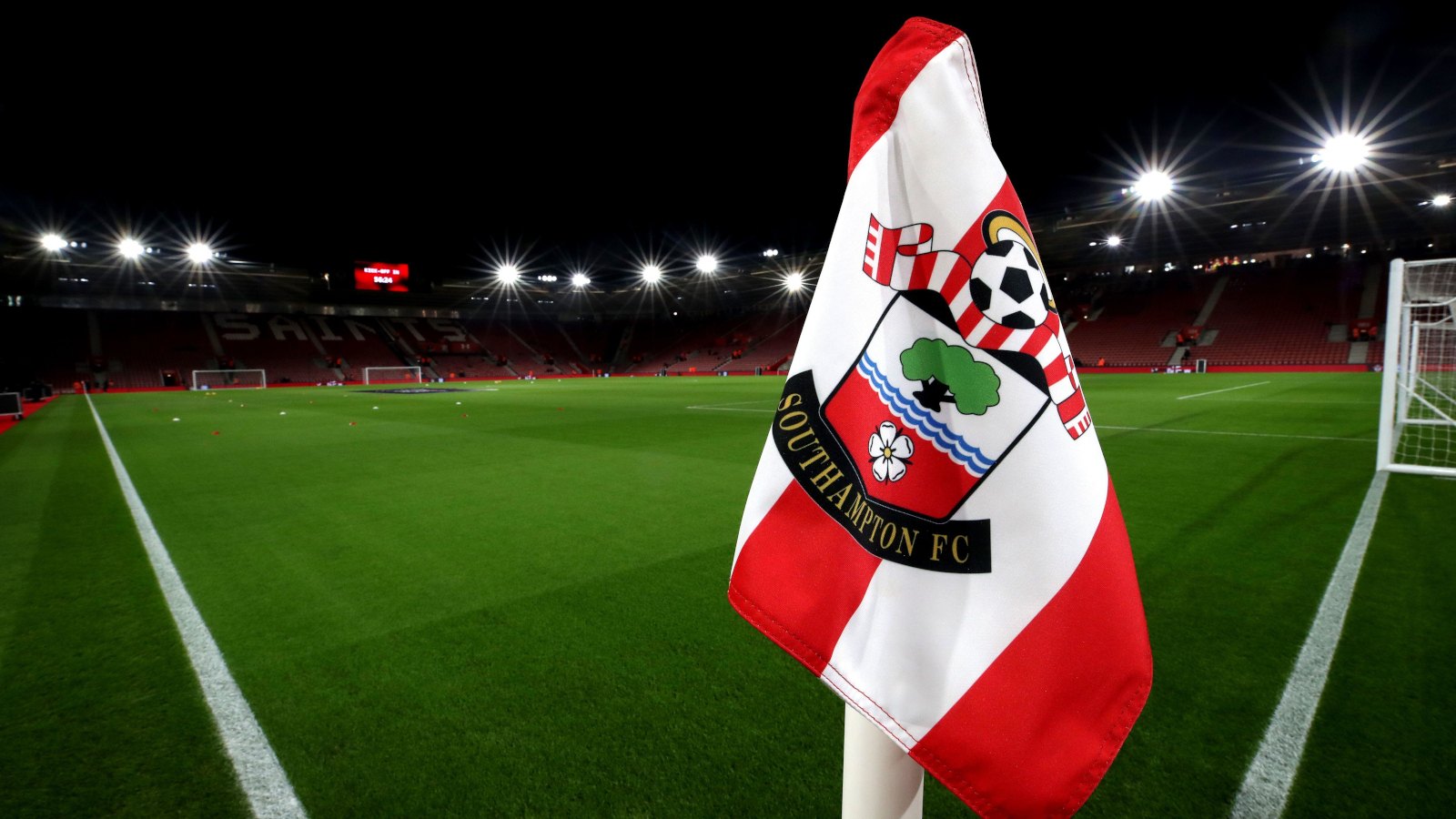 Next Southampton Manager Betting Odds - Tonda Eckert On Edge After Spygate