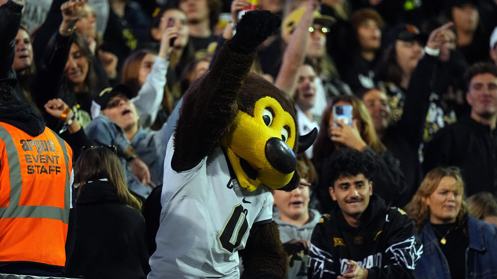 College Football 2024 Week 12 Odds, Predictions, Other Bets To Make Today