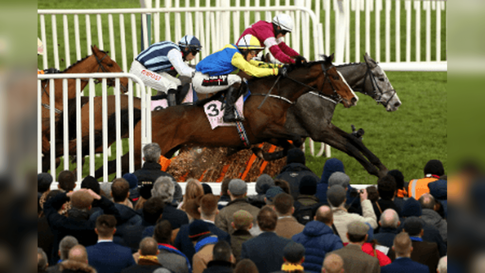 Fred Winter Juvenile Handicap Hurdle Trends for 2026 Cheltenham Festival