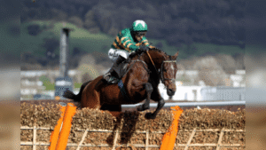 Champion Hurdle Trends for the 2026 Cheltenham Festival