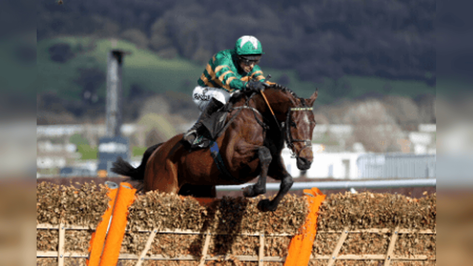 Champion Hurdle Trends for the 2026 Cheltenham Festival