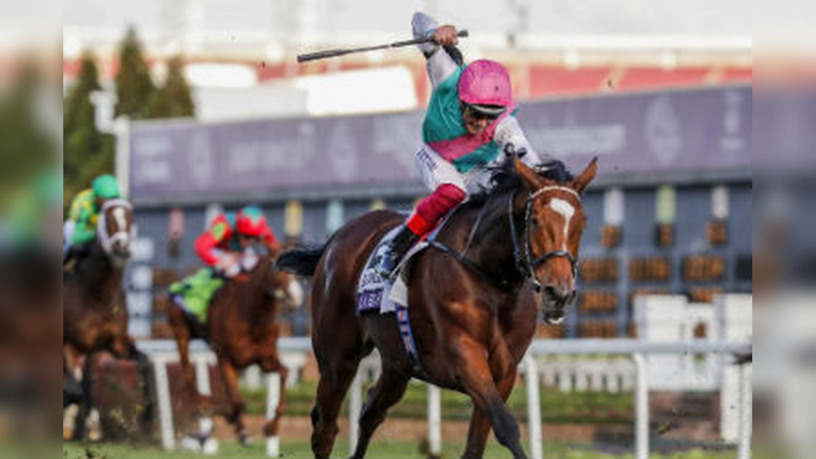 Enable Gets Stall Nine as Runners Are Confirmed For The Arc
