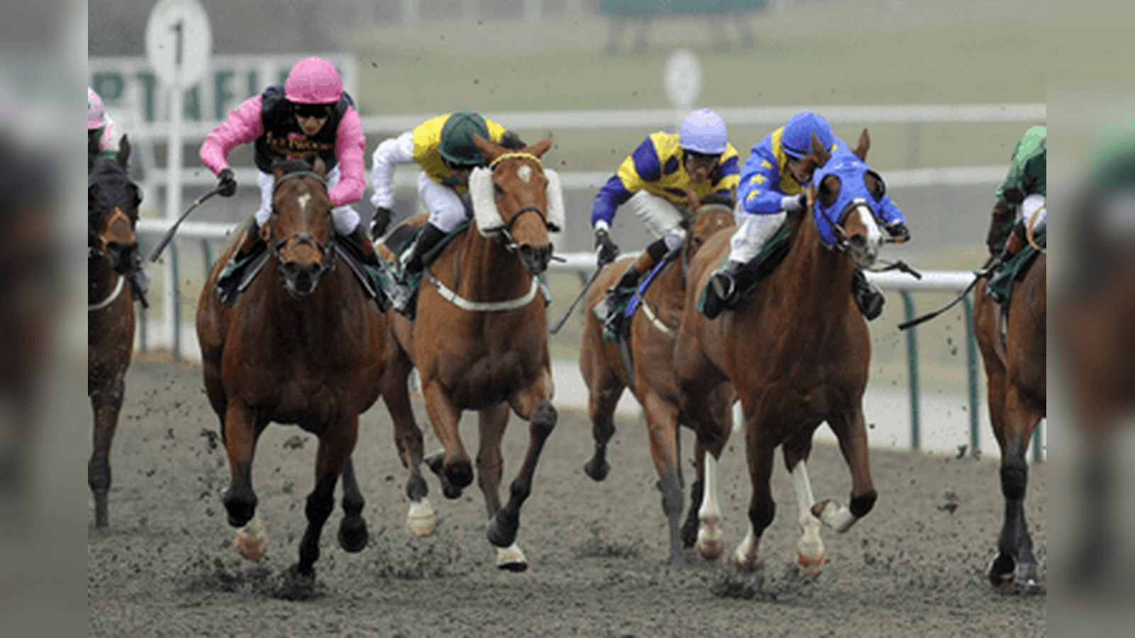 2022 Betway Winter Derby Stakes Betting Trends, Runner Guide and Betting Tips