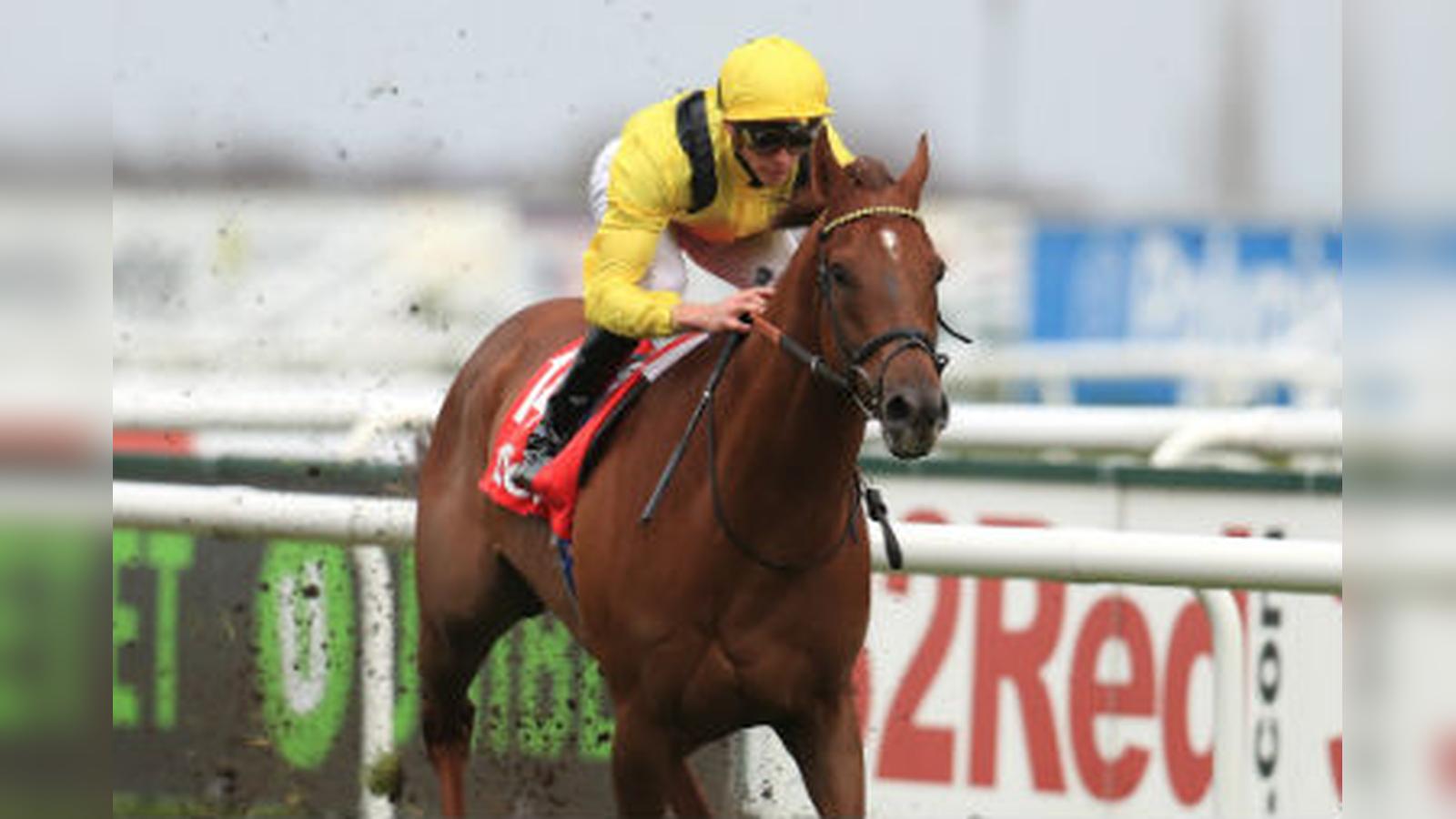 Punters Lumping on Soft-Ground Options Ahead of Champions Day