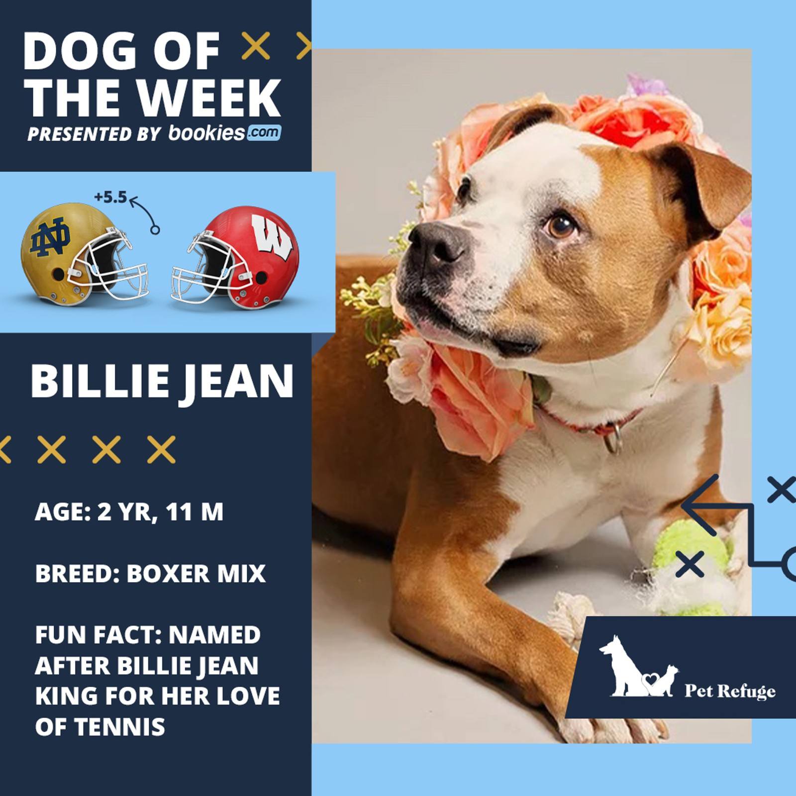 College Football Dog Of The Week: Notre Dame & 'Billie Jean'