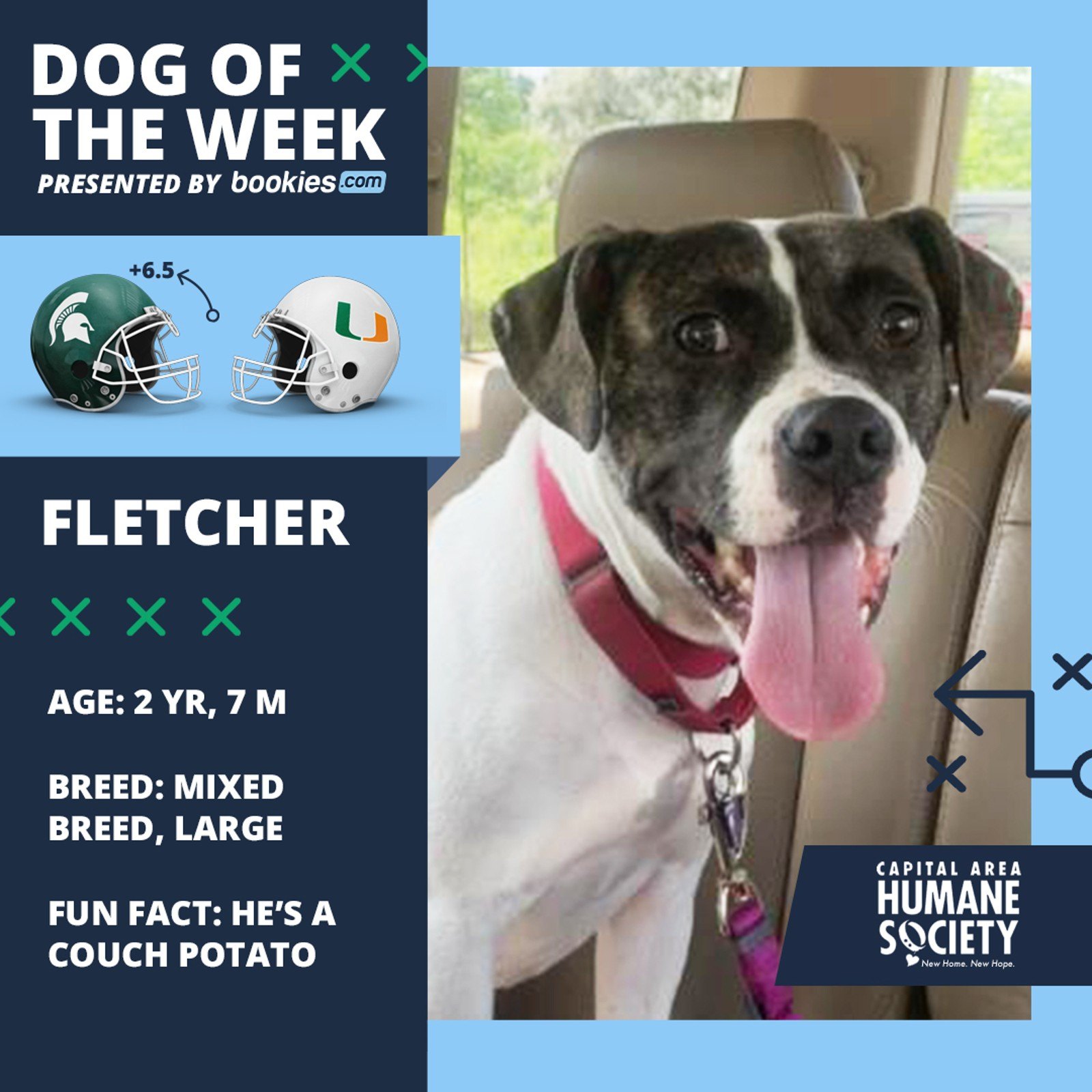College Football Dog Of The Week: Michigan State & ‘Fletcher’
