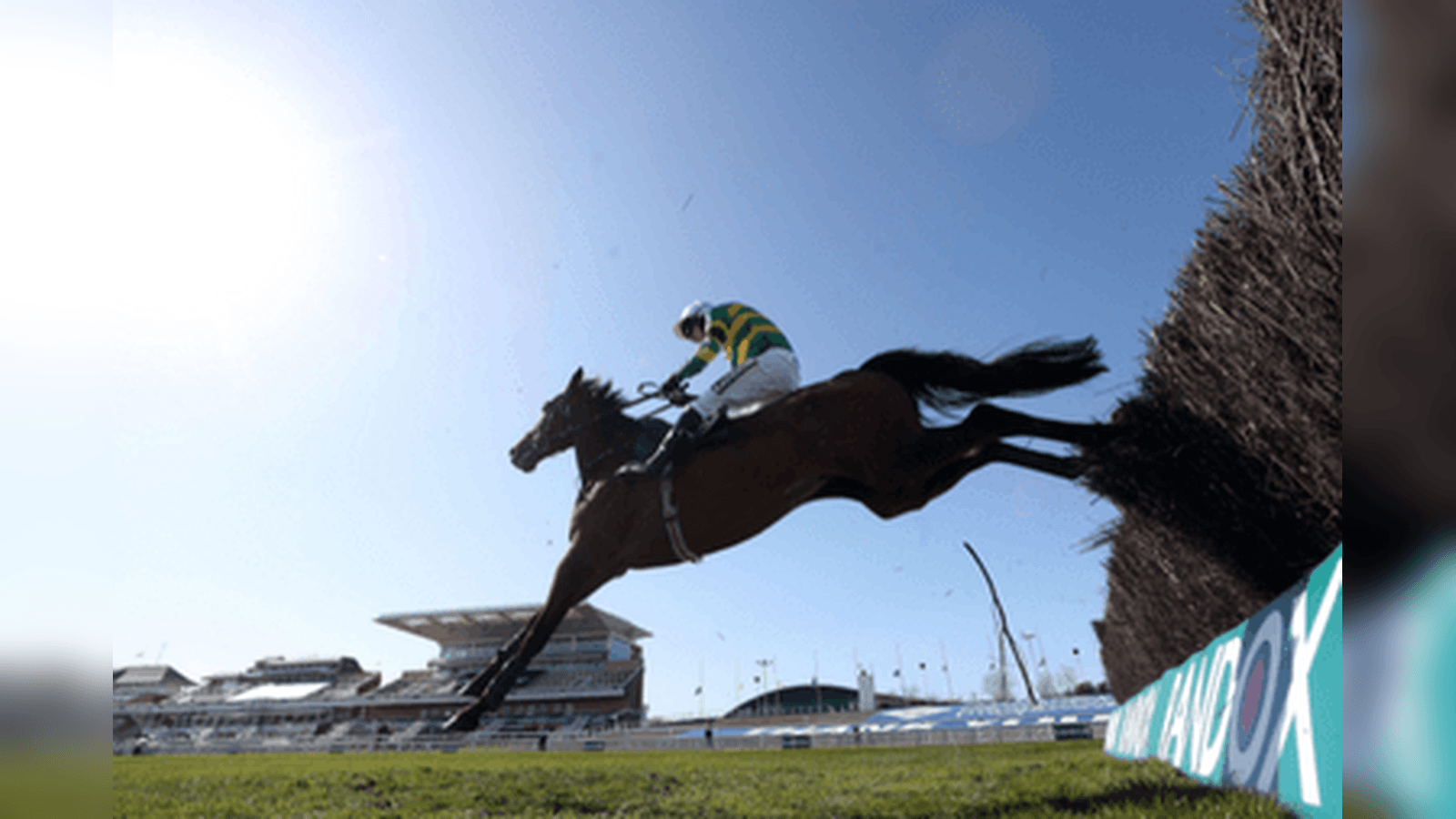 Betfair Ascot Chase Betting Trends, Runner Guide and Betting Tips