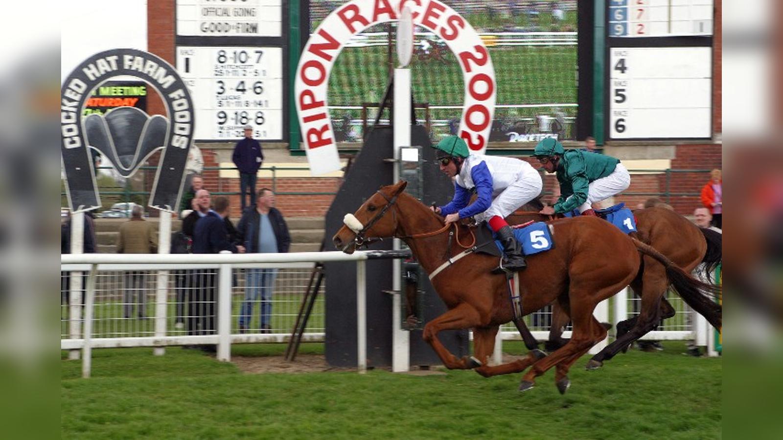 Tote Scoop 6 Races & Expert Betting Tips Saturday 20th {{