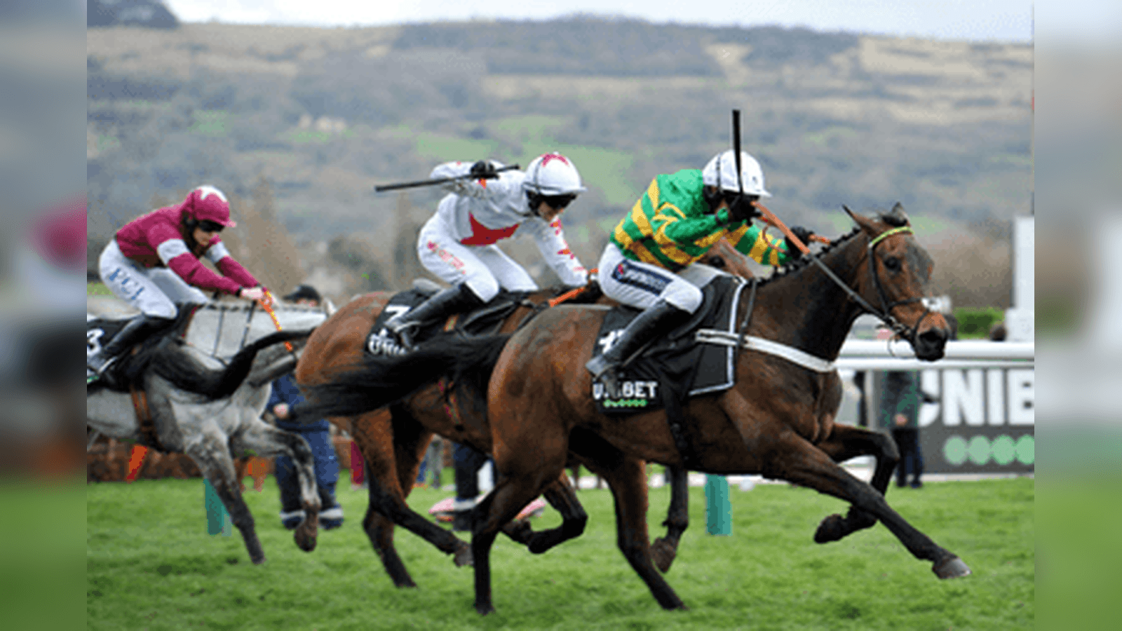 Racing Post Gold Cup Handicap Chase Trends and Guide to Main Contenders
