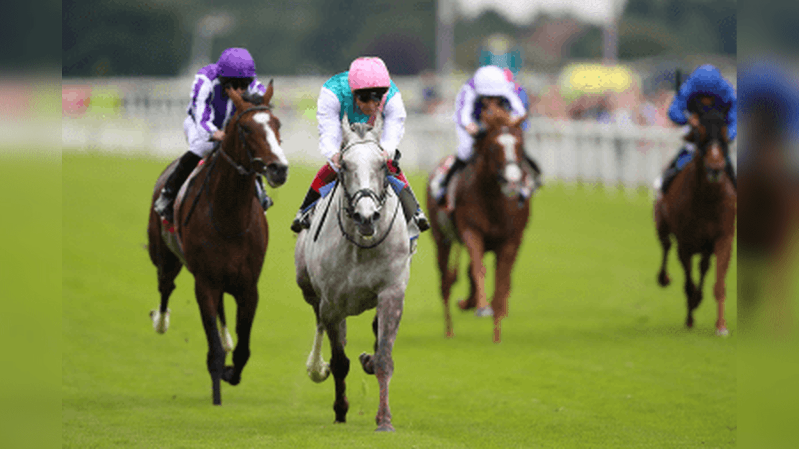 Logician One of 11 Declared For William Hill St Leger