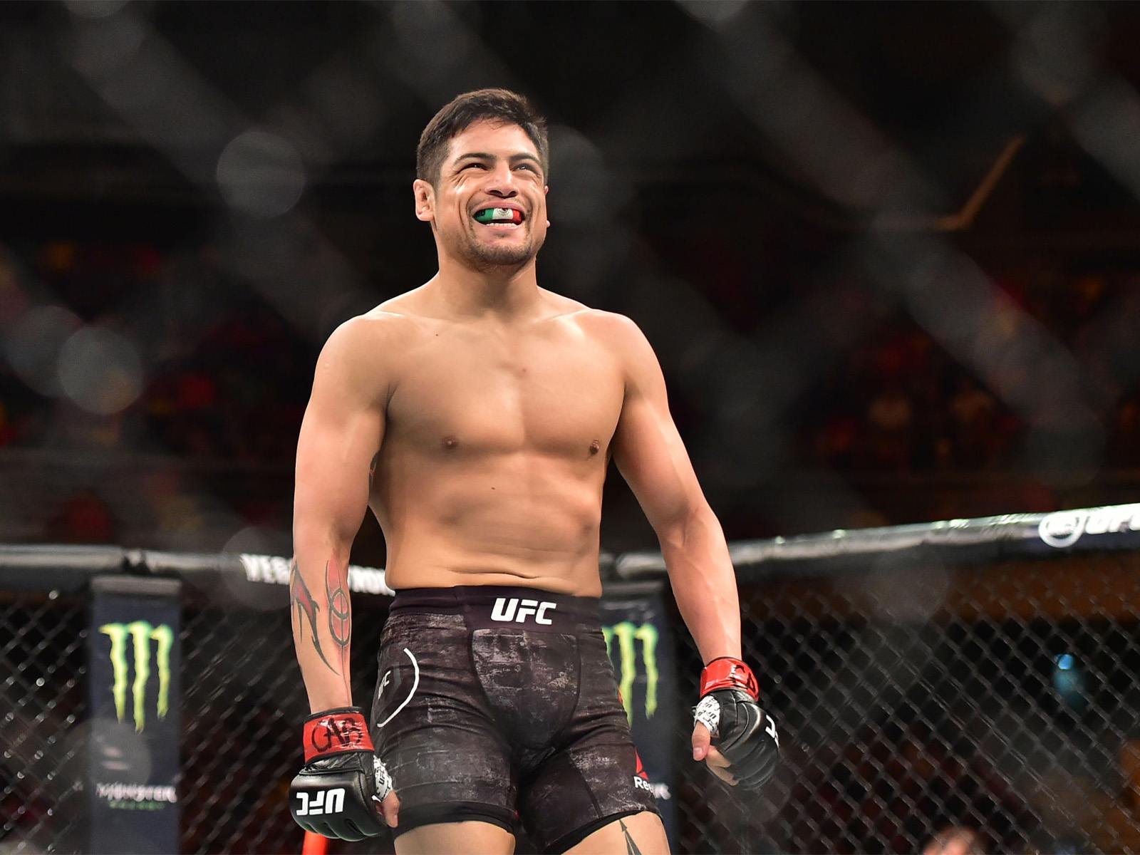 UFC San Diego Odds, Picks & Betting Predictions for Vera vs Cruz