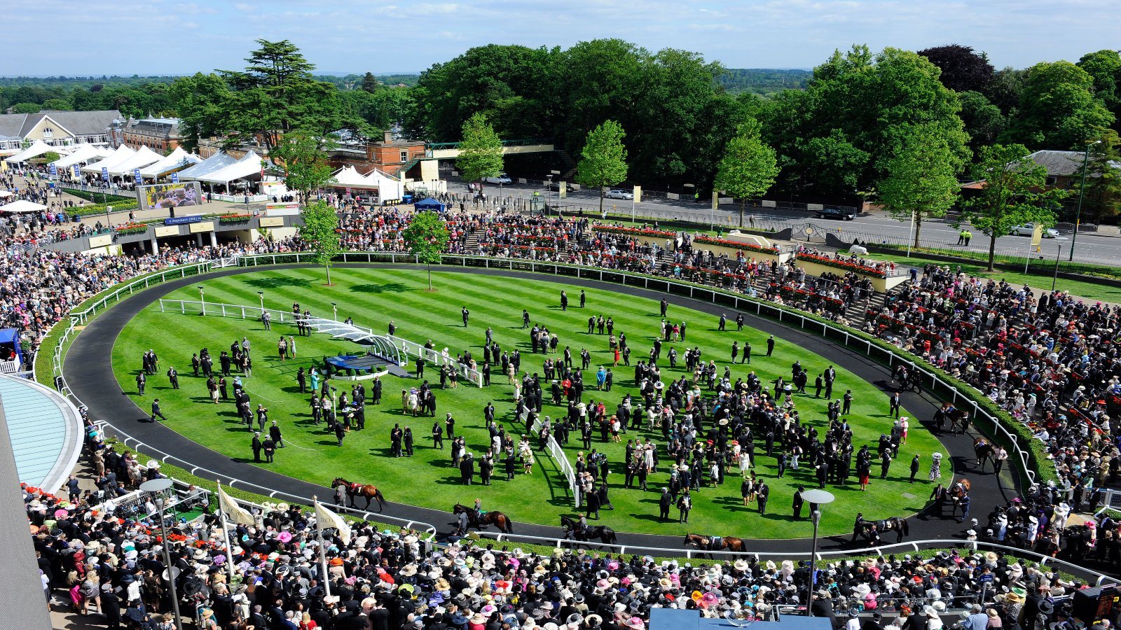 Royal Ascot Free Bet Offer: Get 33/1 On Aidan O'Brien To Train A Winner