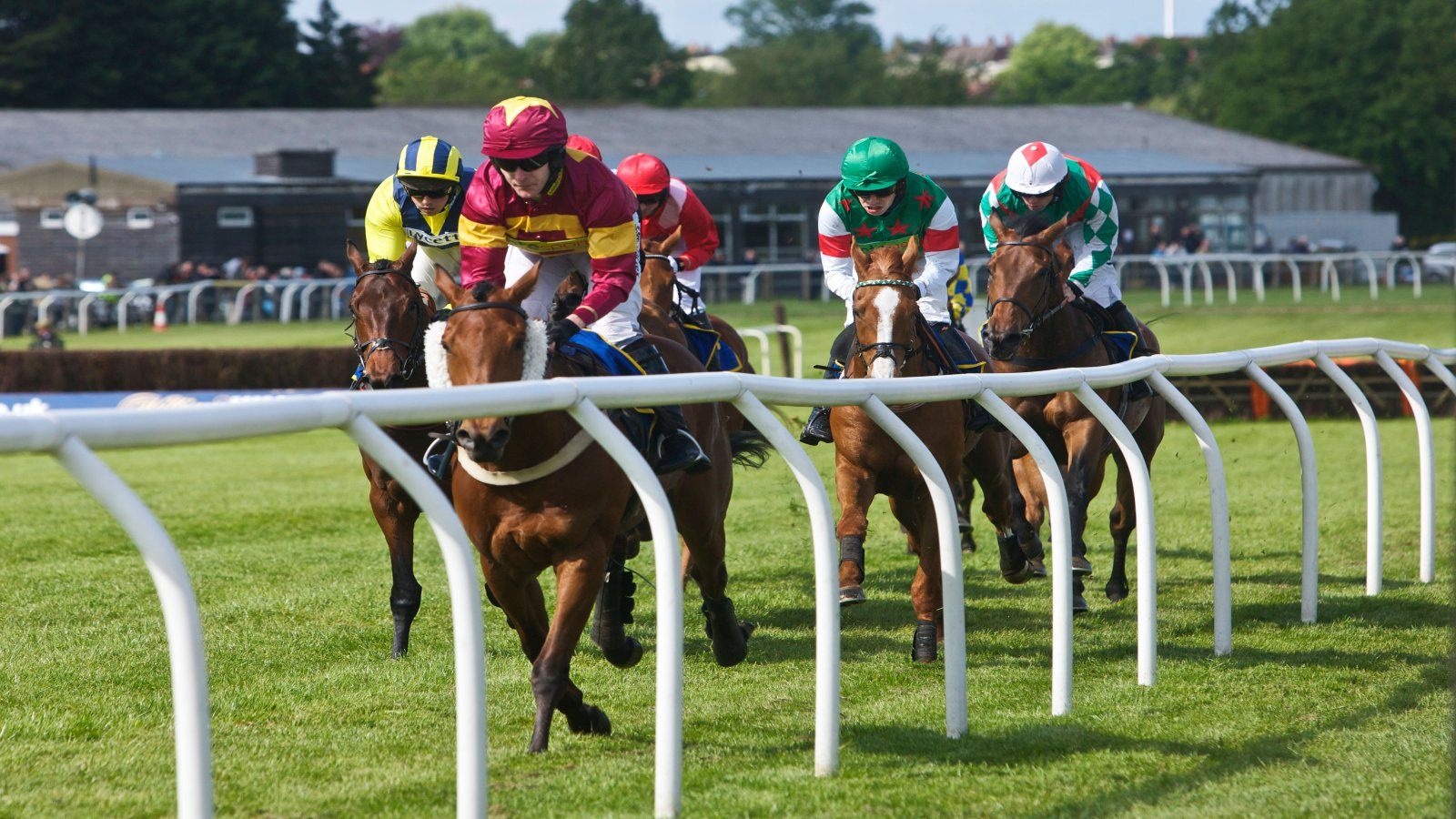 Top 10 Horse Racing Betting Sites Online in the UK for {{