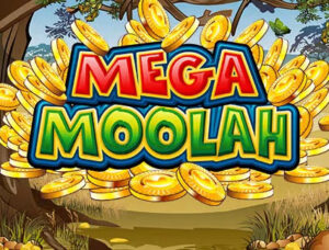Best Online Casinos for Mega Moolah January 2026; Play Mega Moolah Online with Free spins Offers