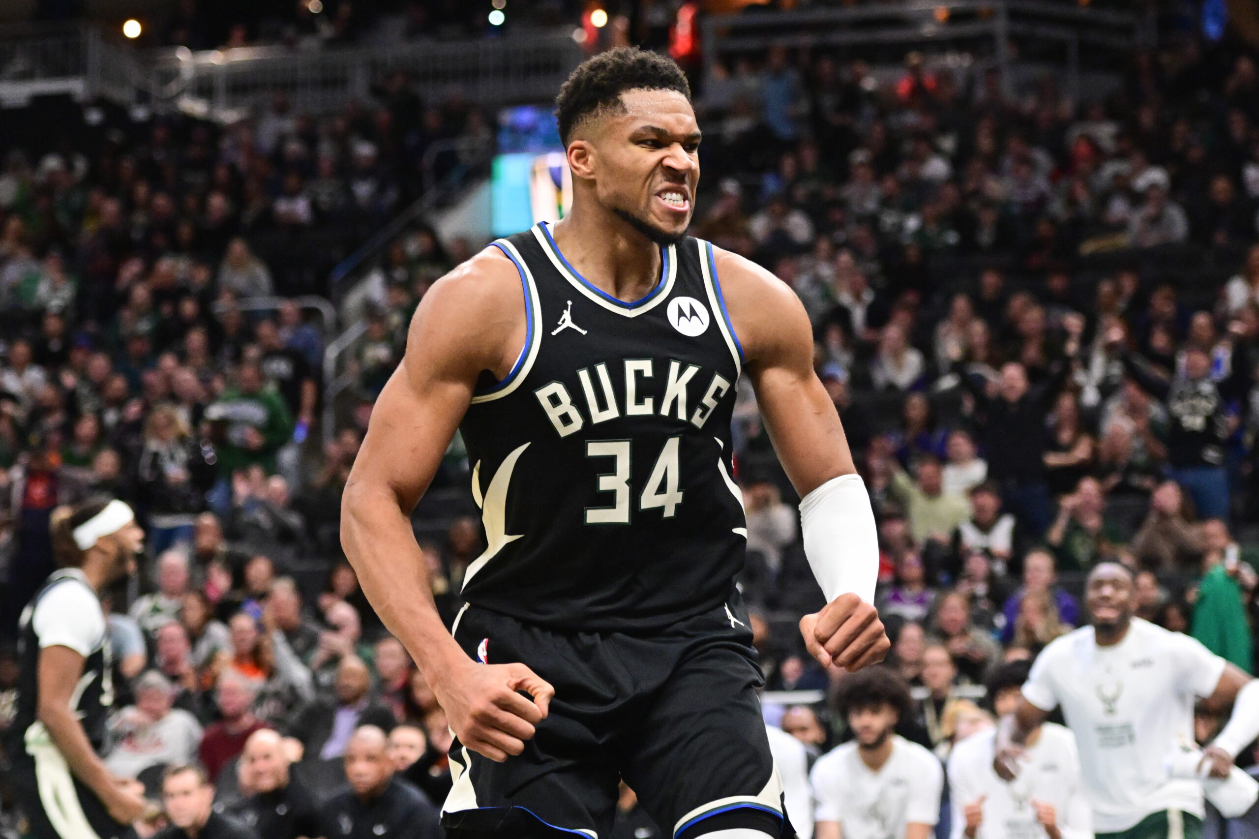 Milwaukee Bucks forward Giannis Antetokounmpo (34)
