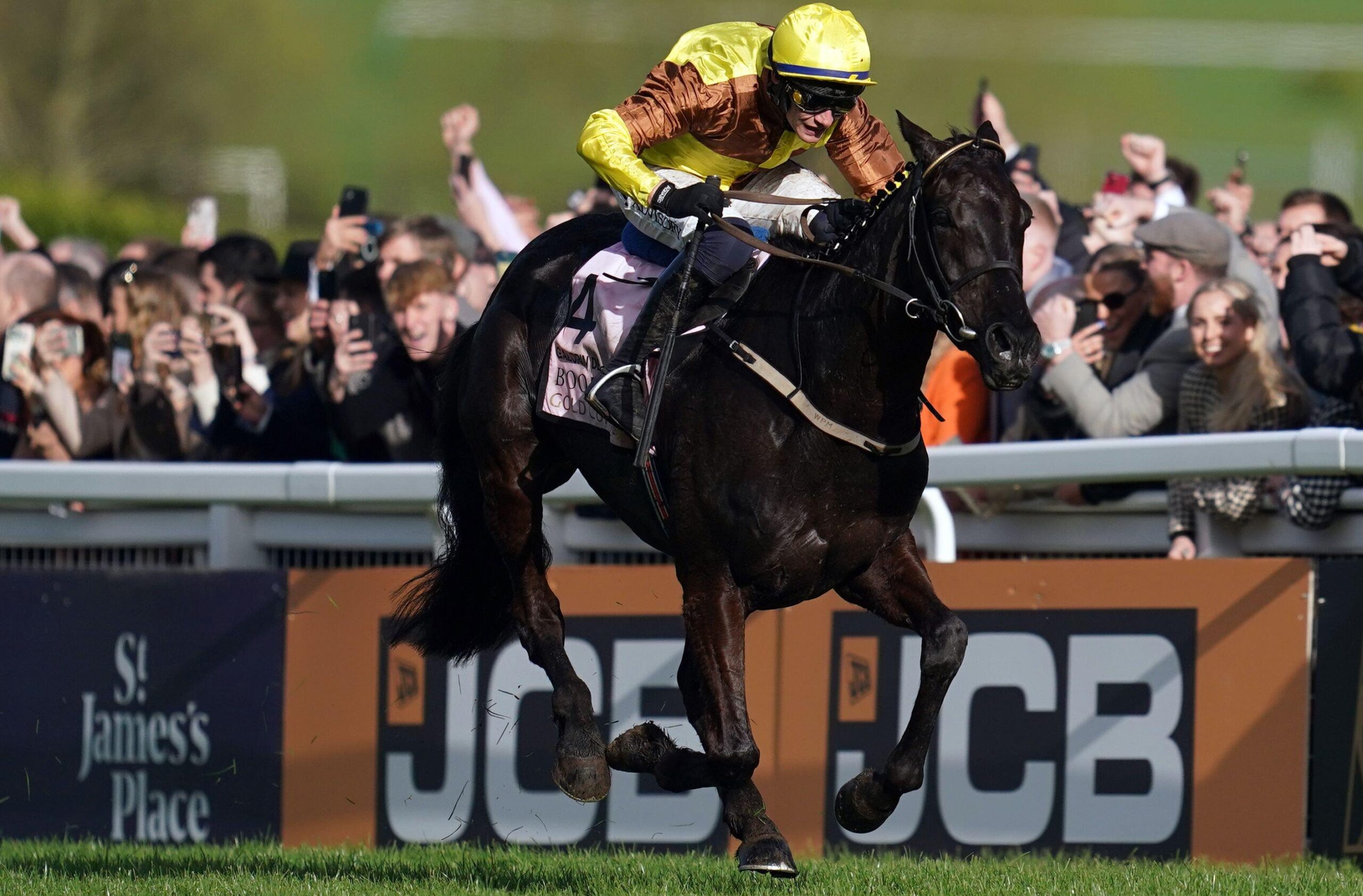 Horse Racing Free Bets: Galopin Des Champs 30/1 To Win The Irish Gold Cup