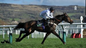 Constitution Hill Specials - Betting Odds For Kempton & Flat Season