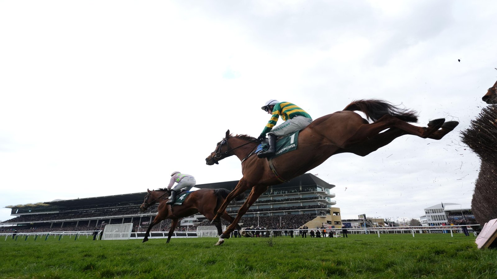 Liberthine Mares’ Chase Trends For the 2026 Cheltenham Festival