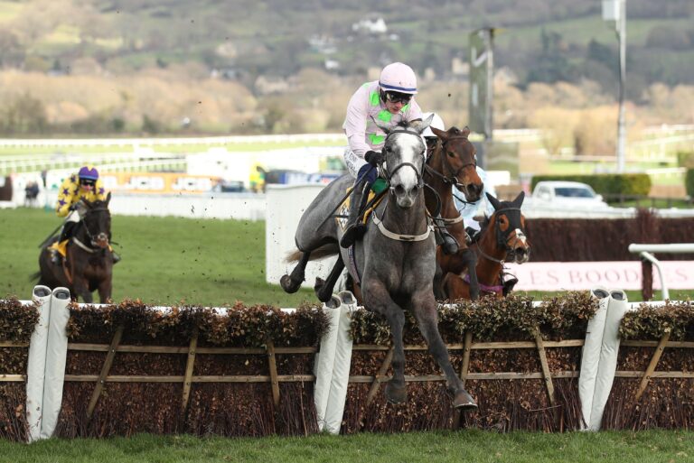 Mares' Hurdle Trends For The 2026 Cheltenham Festival