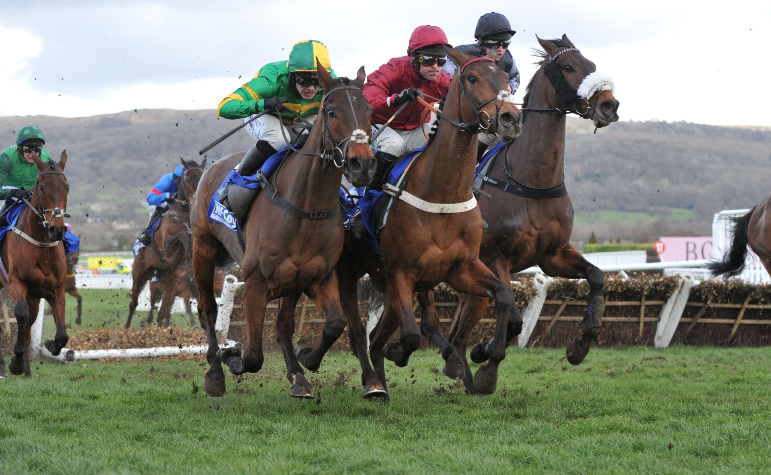 Cheltenham Free Bets 2026 For Ireland: Cheltenham Festival Free Bet Offers