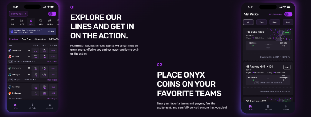 How onyx works preview