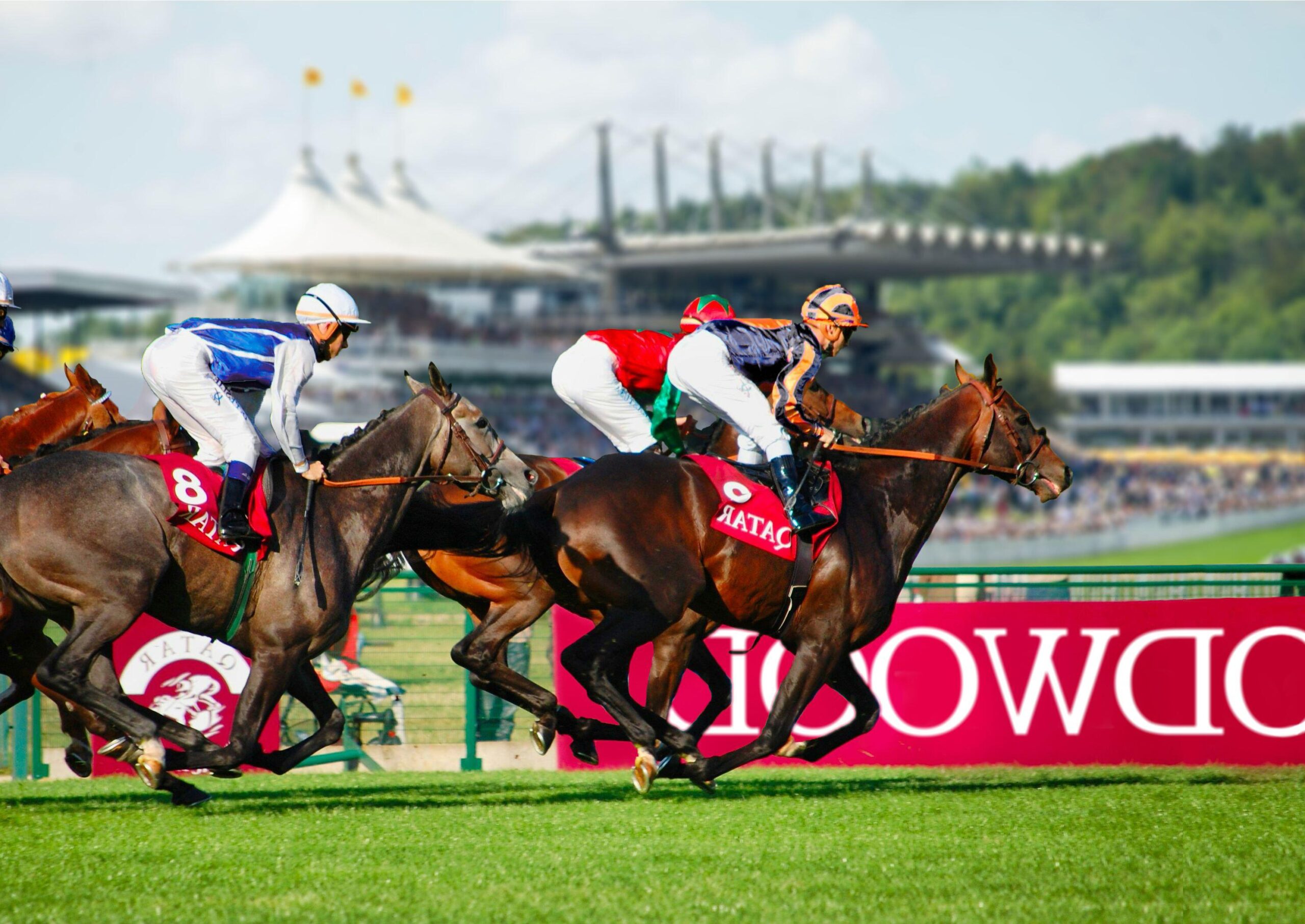 Prix de l'Arc de Triomphe 2026 Free Bets: Odds, Times and Longchamp Tips